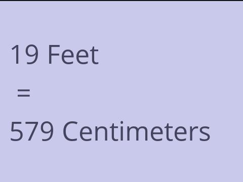 19 FEET TO CM