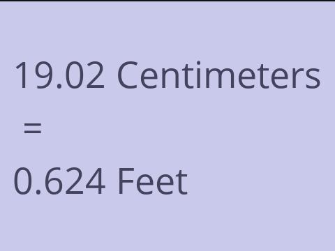 19.02 CM TO FEET