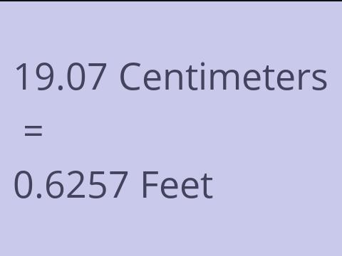 19.07 CM TO FEET