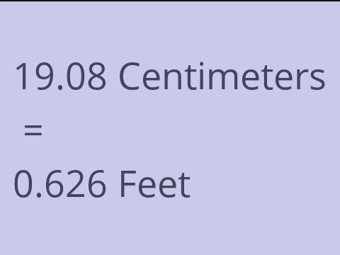 19.08 CM TO FEET