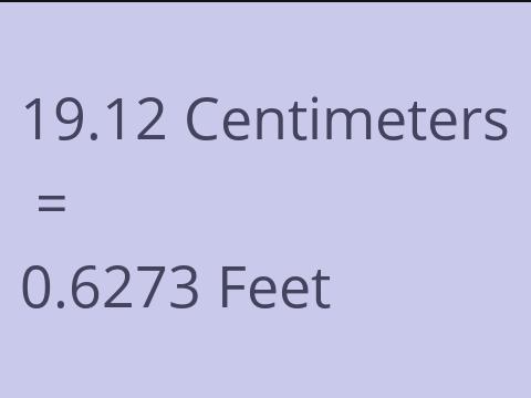 19.12 CM TO FEET