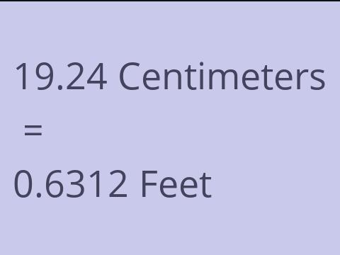 19.24 CM TO FEET