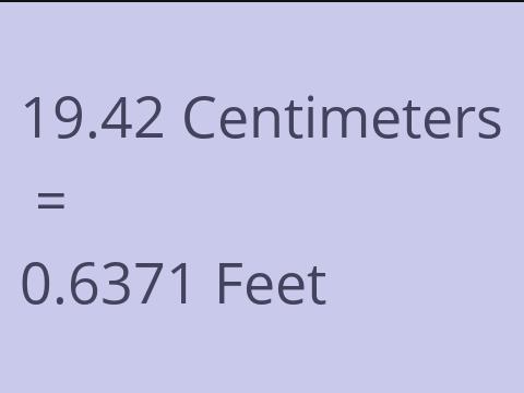 19.42 CM TO FEET