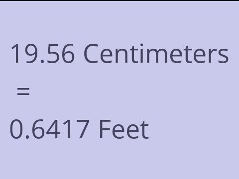 19.56 CM TO FEET