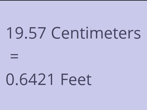 19.57 CM TO FEET