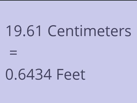 19.61 CM TO FEET