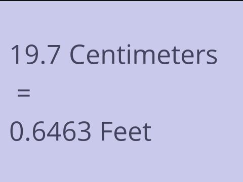 19.7 CM TO FEET