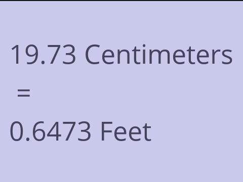 19.73 CM TO FEET