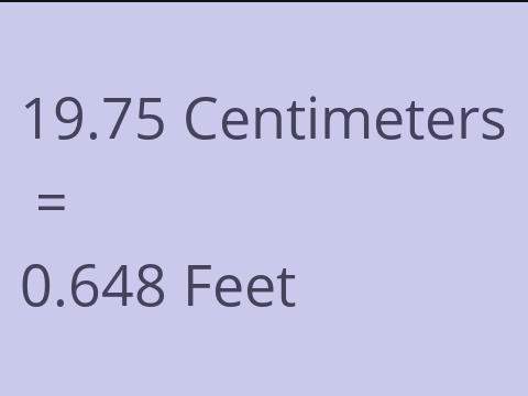 19.75 CM TO FEET