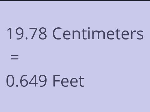 19.78 CM TO FEET