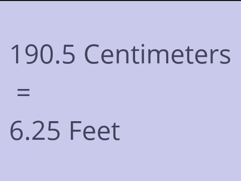 190.5 CM TO FEET