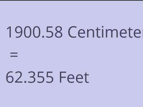 1900.58 CM TO FEET