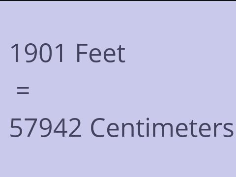 1901 FEET TO CM