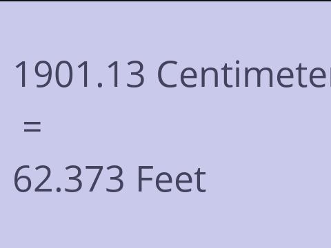 1901.13 CM TO FEET