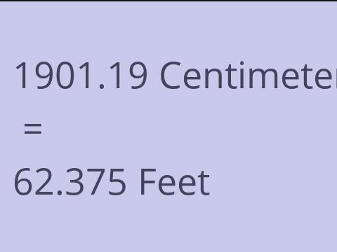 1901.19 CM TO FEET