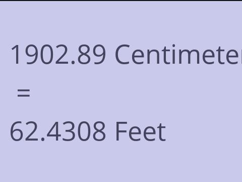 1902.89 CM TO FEET