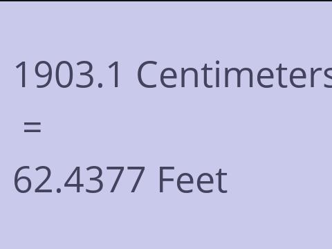 1903.1 CM TO FEET