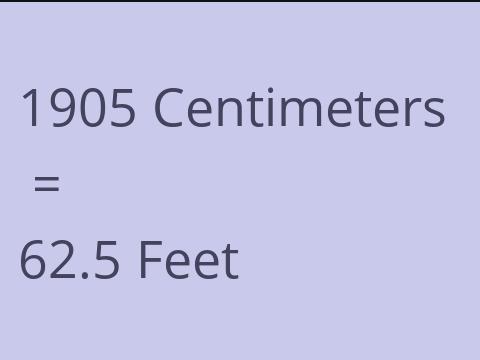 1905 CM TO FEET