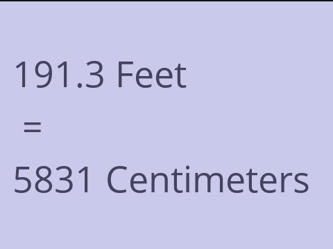 191.3 FEET TO CM