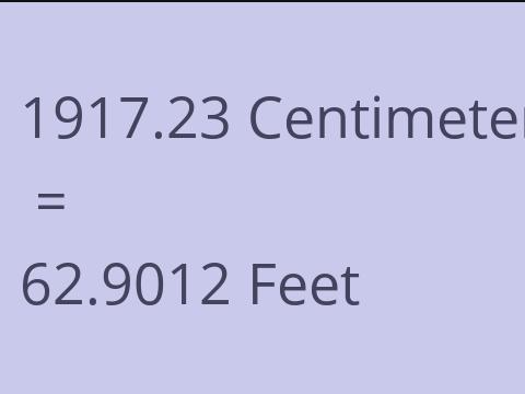 1917.23 CM TO FEET