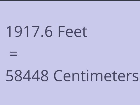 1917.6 FEET TO CM