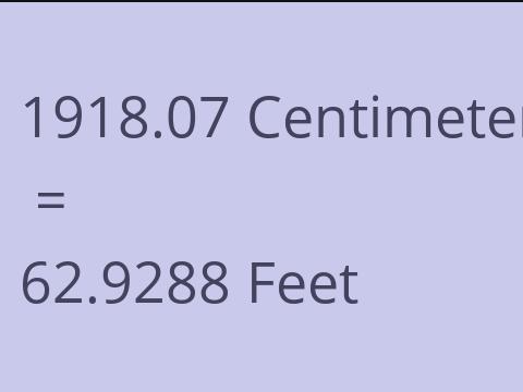 1918.07 CM TO FEET