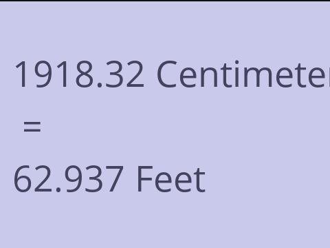 1918.32 CM TO FEET