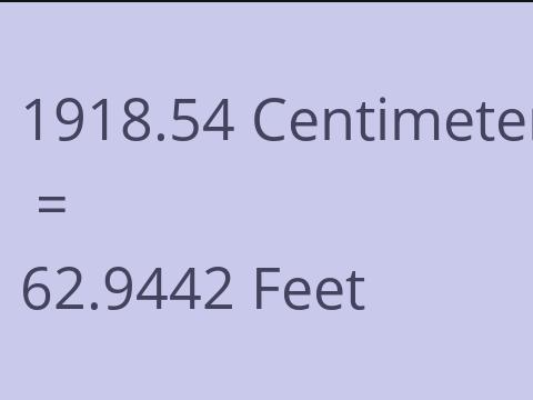 1918.54 CM TO FEET