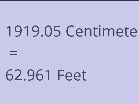 1919.05 CM TO FEET