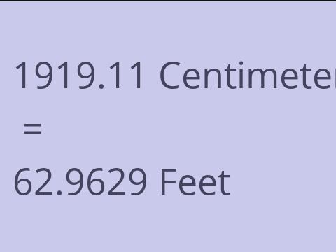 1919.11 CM TO FEET