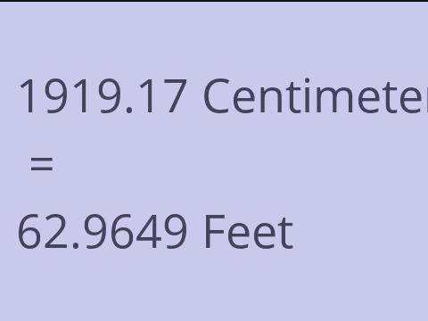 1919.17 CM TO FEET