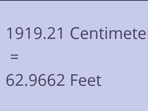 1919.21 CM TO FEET