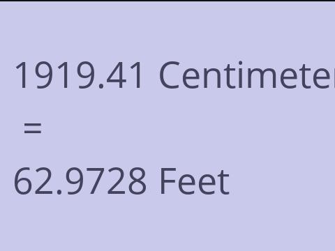 1919.41 CM TO FEET