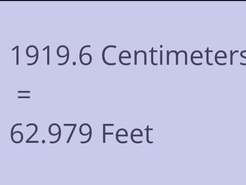 1919.6 CM TO FEET