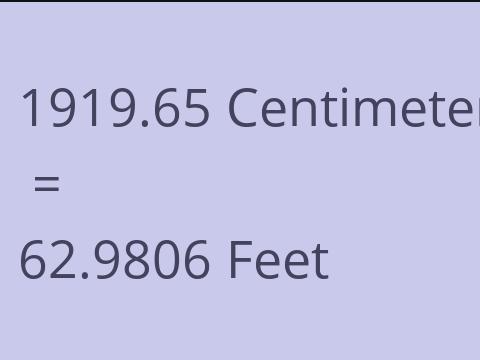 1919.65 CM TO FEET