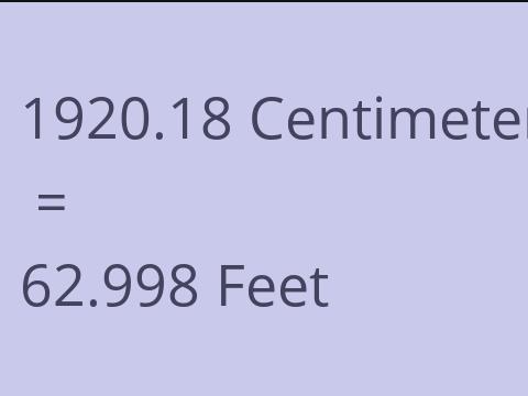 1920.18 CM TO FEET