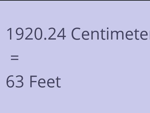 1920.24 CM TO FEET