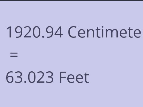 1920.94 CM TO FEET