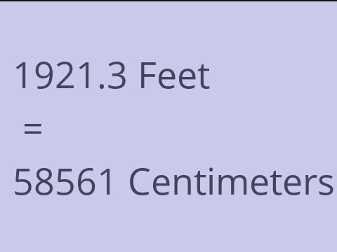 1921.3 FEET TO CM