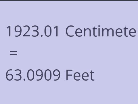 1923.01 CM TO FEET