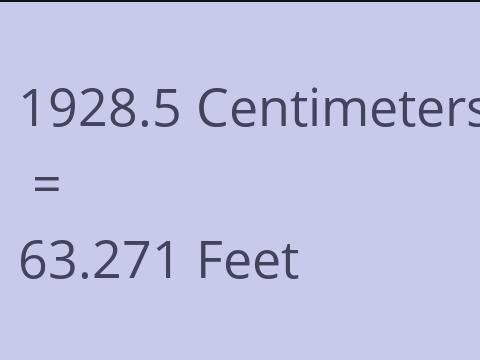 1928.5 CM TO FEET