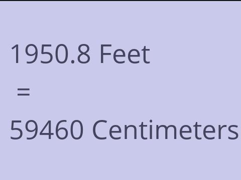 1950.8 FEET TO CM