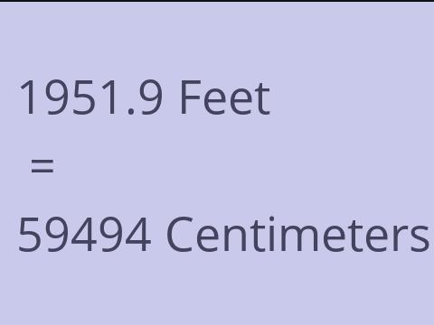 1951.9 FEET TO CM