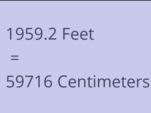 1959.2 FEET TO CM