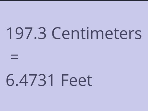 197.3 CM TO FEET