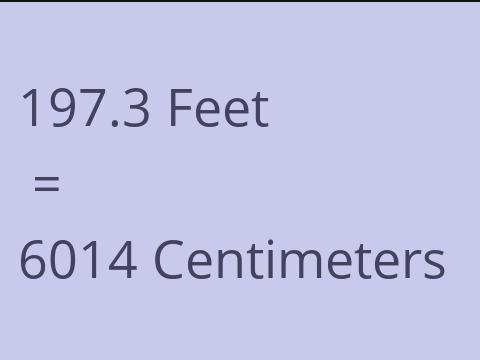 197.3 FEET TO CM