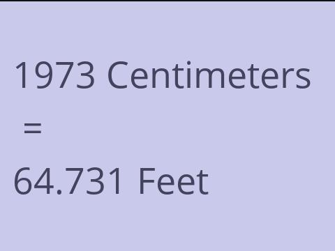 1973 CM TO FEET