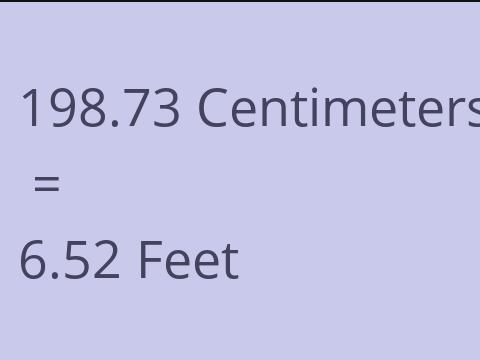 198.73 CM TO FEET