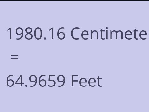 1980.16 CM TO FEET