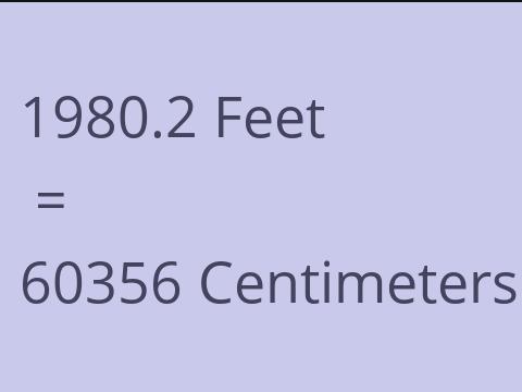 1980.2 FEET TO CM